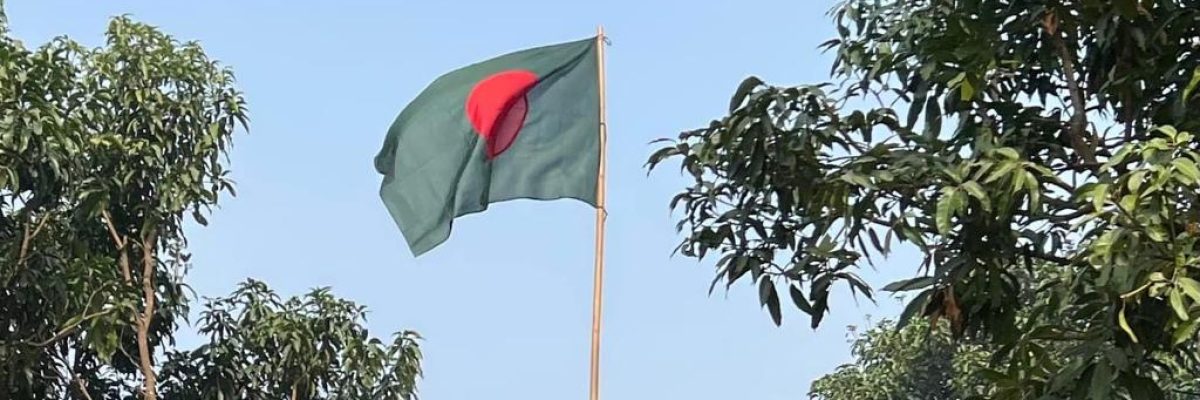 নলডাঙ্গা বালিকা উচ্চ বিদ্যালয় গ্যালারি ইমেজ